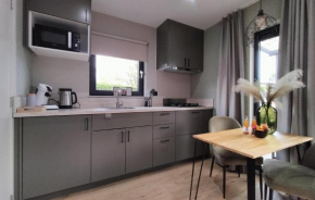 Pet Friendly Home In Heinkenszand With Wifi